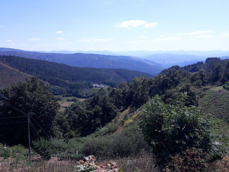 The wooded valleys and mountains of Galicia seen from A Fonsagrada