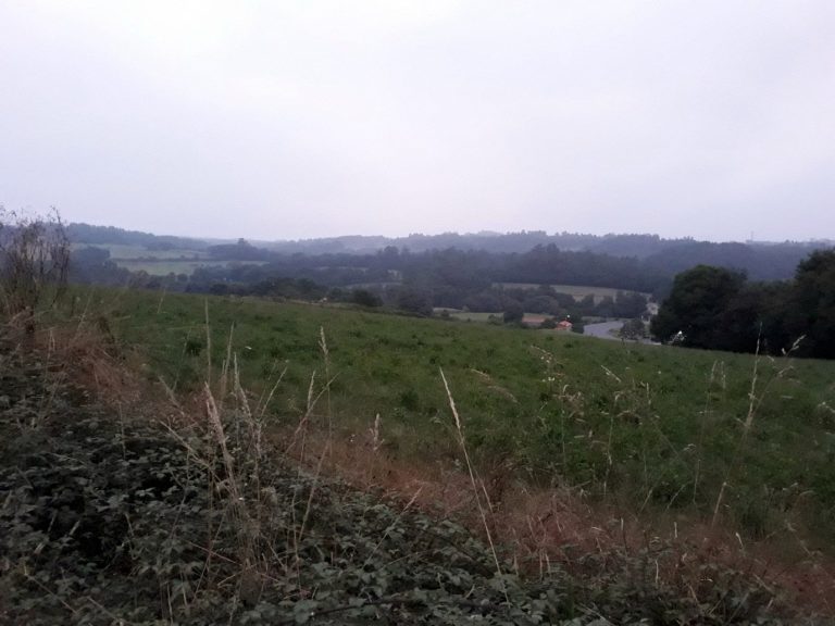 Landscape on the Camino Francés near Arzúa, Galicia