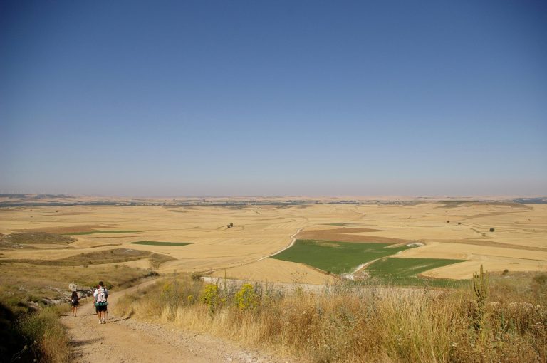 The path across the wheat plains of the Meseta near Castrojeriz