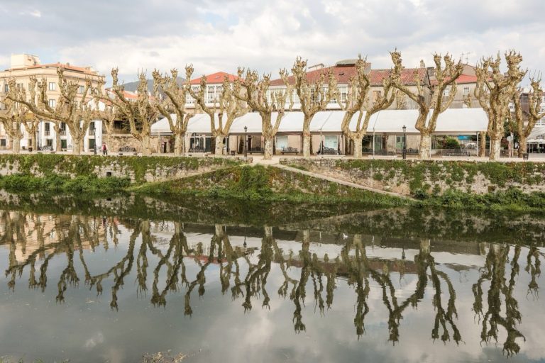 The plane trees of the Alameda in Padrón reflected in the river Sar