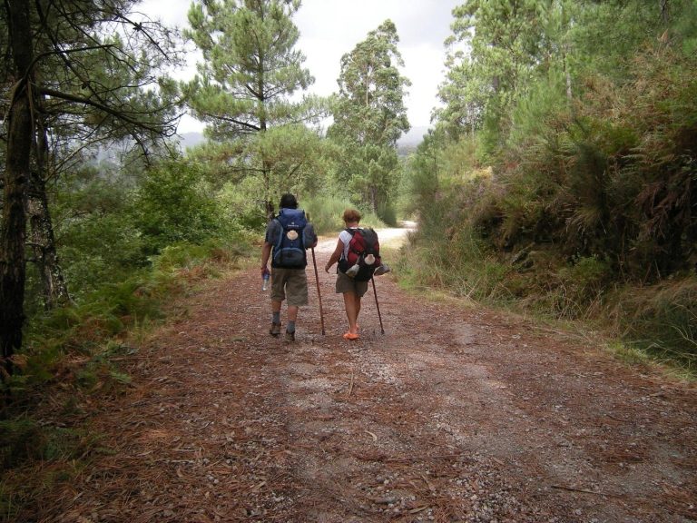 Two pilgrims seen from behind, walking poles in hand and backpacks on, on the Camino Portugués